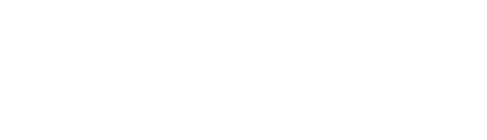 A3 Plus